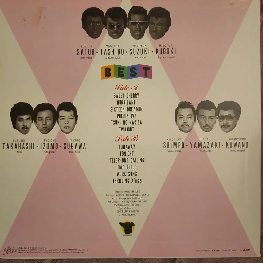 [SOLD OUT] 샤넬즈 The Chanels Best LP