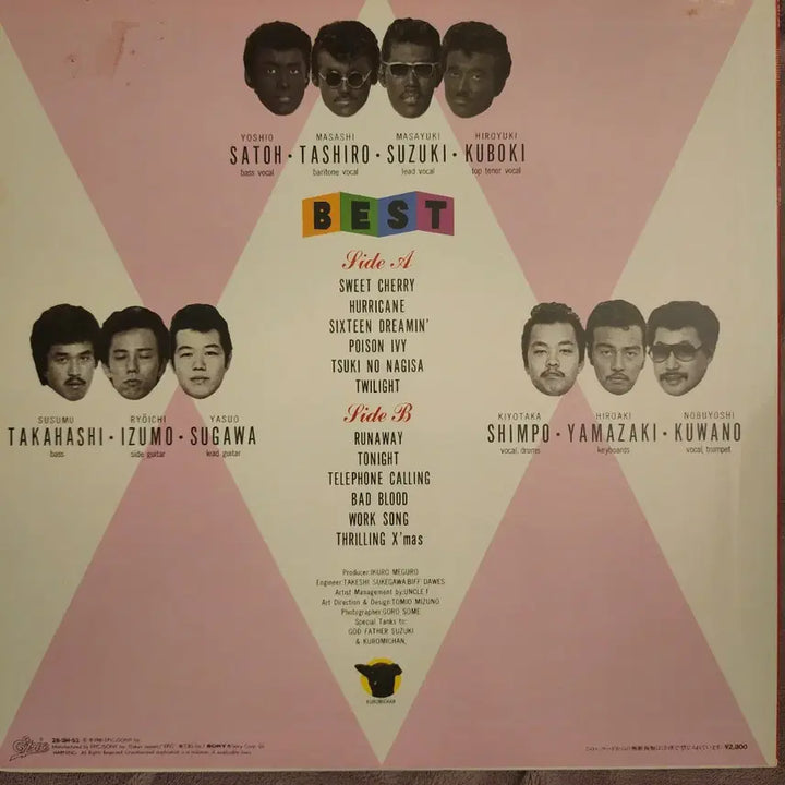 [SOLD OUT] 샤넬즈 The Chanels Best LP