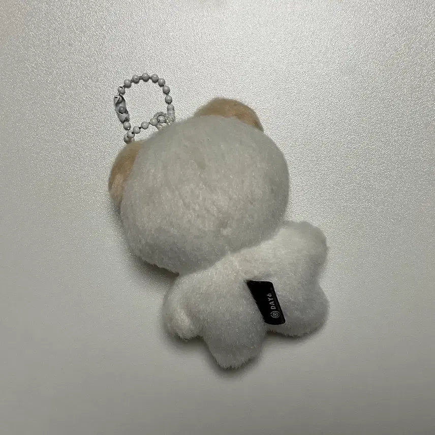[SOLD OUT] 데이식스 도운 쁘쁘멀 돈이