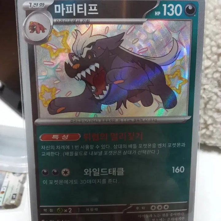 [SOLD OUT] 마피티프 296/190 S sv4a 이로치