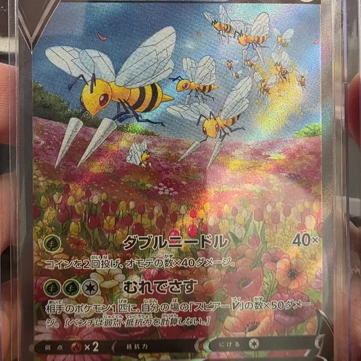 [SOLD OUT] 독침봉 V 069/067 SR 특일 포켓몬카드 일 ㅏㄴ