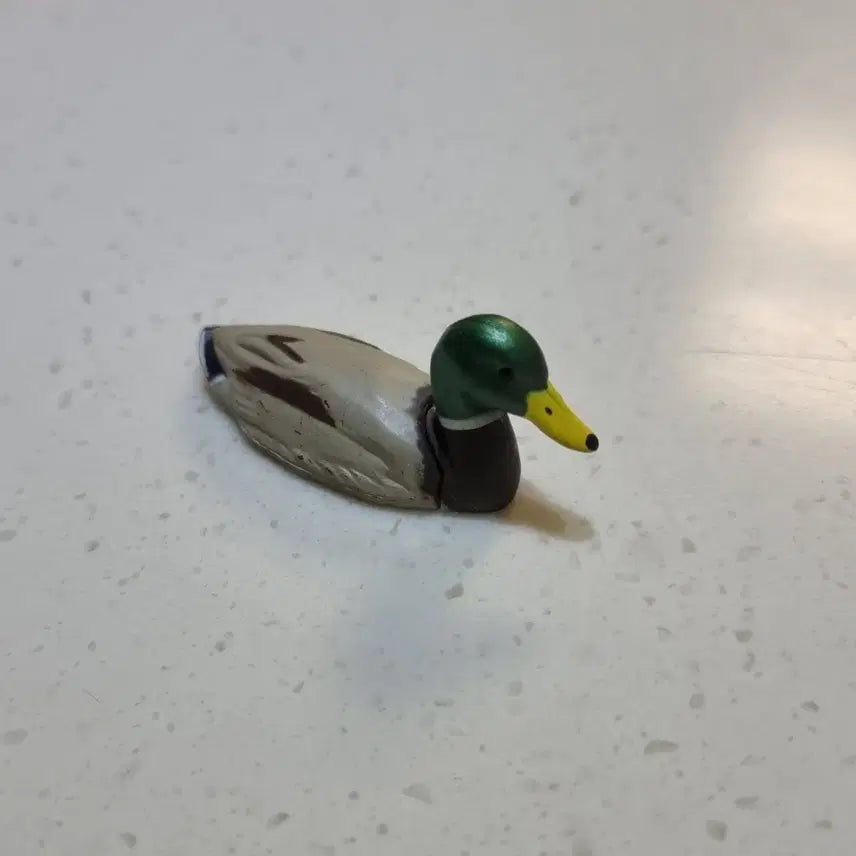[BUNJANG] Kaiyodo Mallard Duck Figure / 카이요도 청둥오리 피규어 조류 피규어
