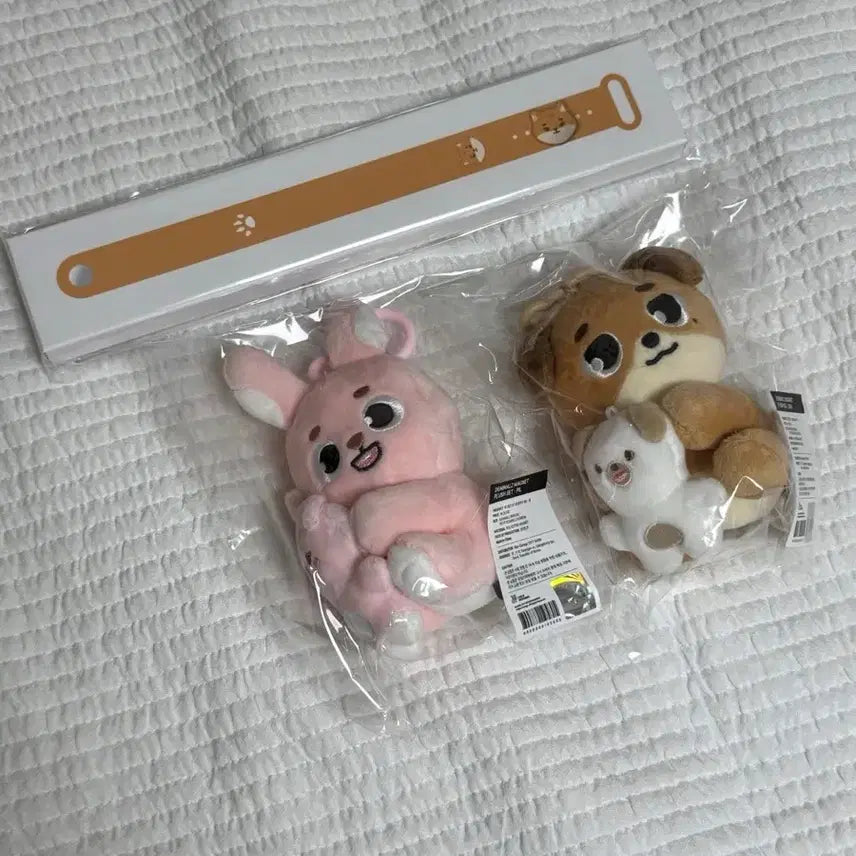 [BUNJANG] DAY6 Denimals Naan-A Phil/Don Photocard / 데이식스 데니멀즈 나안아 필/돈
