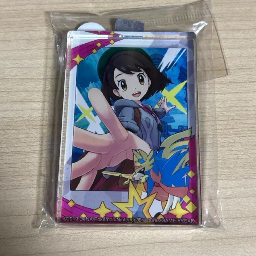 [SOLD OUT] 포켓몬 마스터즈 EX 메모리얼 포토 미니 아크릴 블록 우리