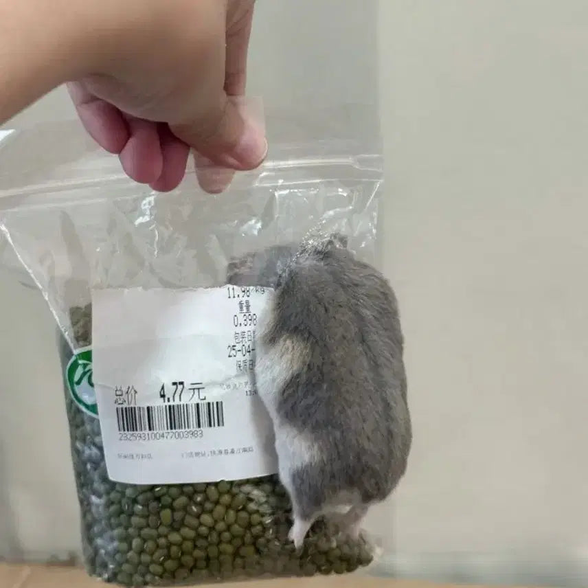 [SOLD OUT] 신쩡환님 개인거래창