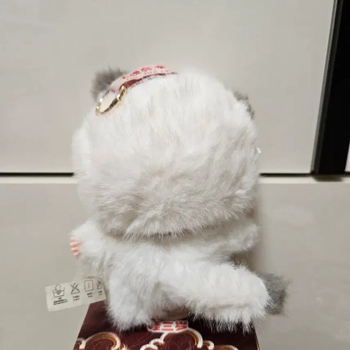 [BUNJANG] Baby 3 Cat Photocard / 베이비쓰리 고양이 ㅇ