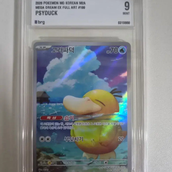 [BUNJANG] Psyduck AR BRG9 Graded / 고라파덕 AR brg9 등급
