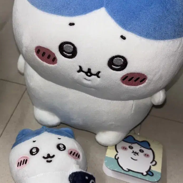 [BUNJANG] Monchiuni Hachiware &amp; Chubby Hachiware 19cm Plush Set / (2종세트) 먼작귀 하치와레 포동포동 누이 뚱치와레 뚱뚱까스 19cm