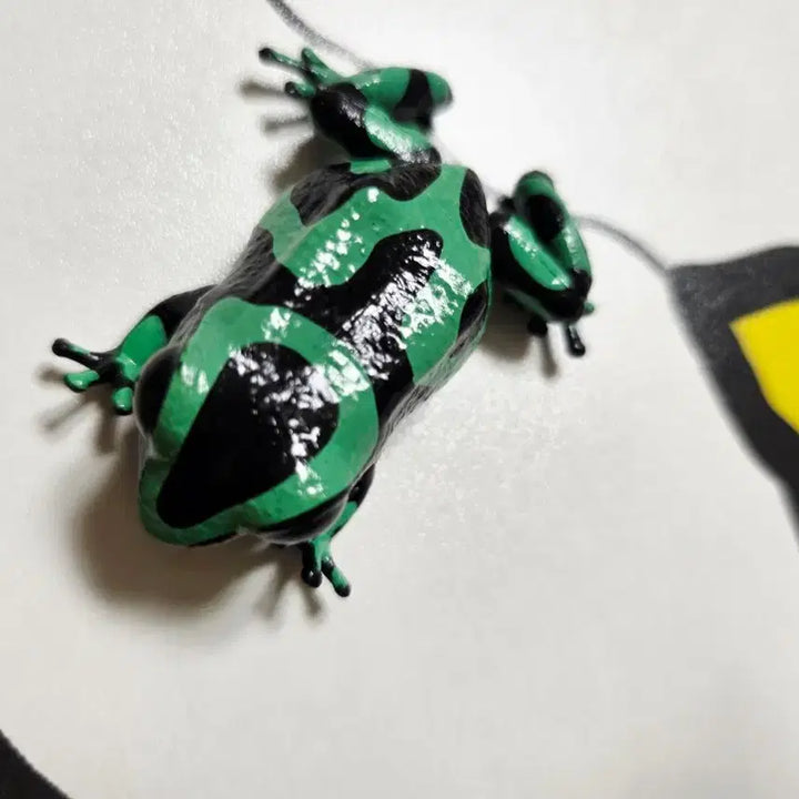 [BUNJANG] Frog Figure Gacha Toy / 개구리 피규어 가챠