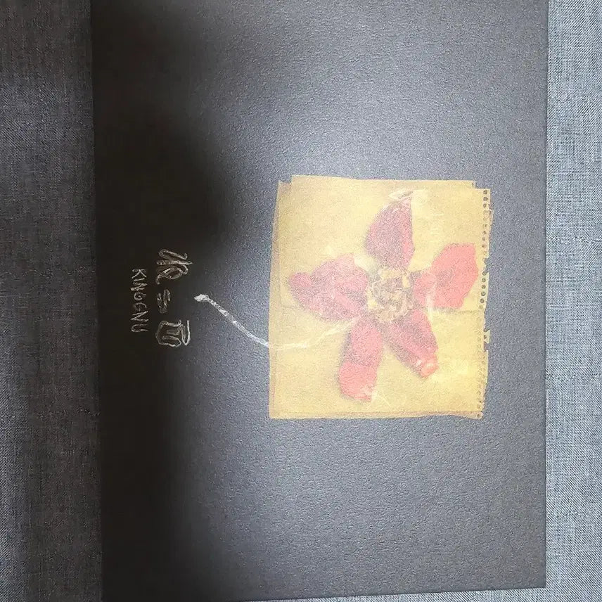 [SOLD OUT] 킹누 넷코 원화집 클럽누 팬클럽 한정 특전 판매합니다
