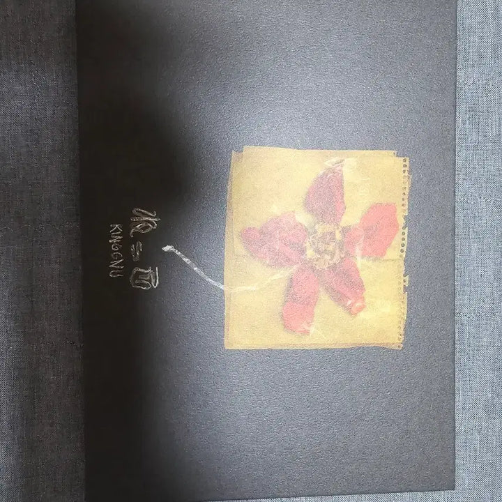 [SOLD OUT] 킹누 넷코 원화집 클럽누 팬클럽 한정 특전 판매합니다