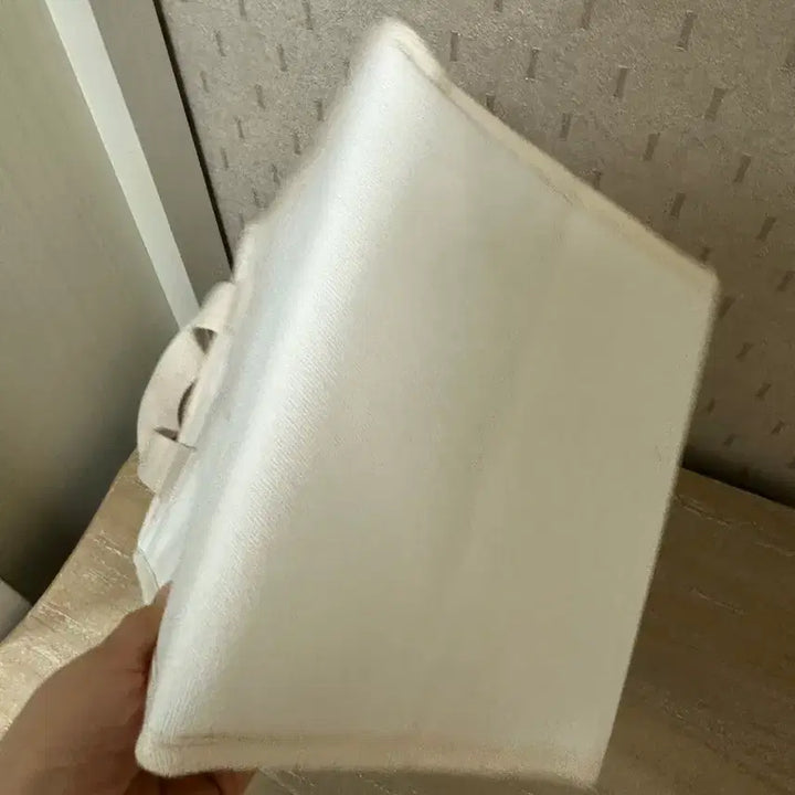 [BUNJANG] Public Market Insulated Eco Bag / 퍼블릭마켓 보냉 에코백