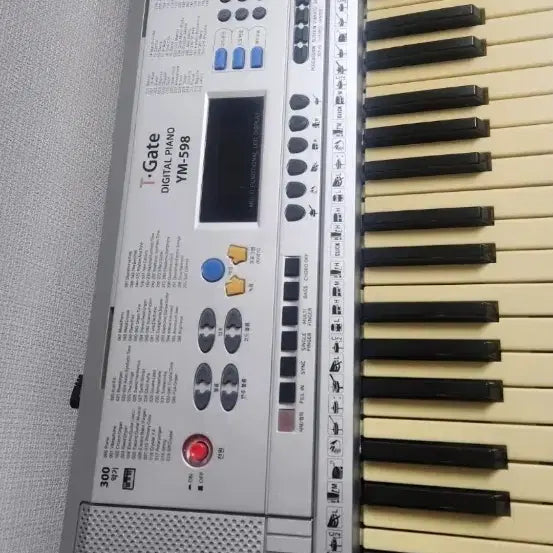 [BUNJANG] iGATES YM-598 61-Key Digital Piano / 아이게이트 YM-598 61건반 디지털 피아노