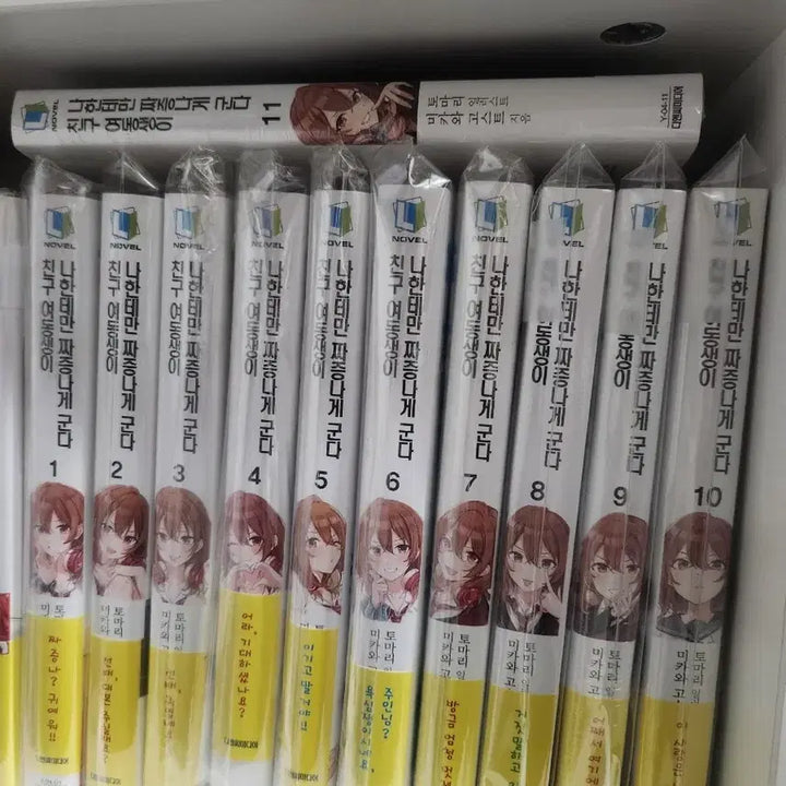 [BUNJANG] Light Novel Set (First Edition, Complete) / 러이트노벨 셋트 일괄 판매합니다.(전권초판)