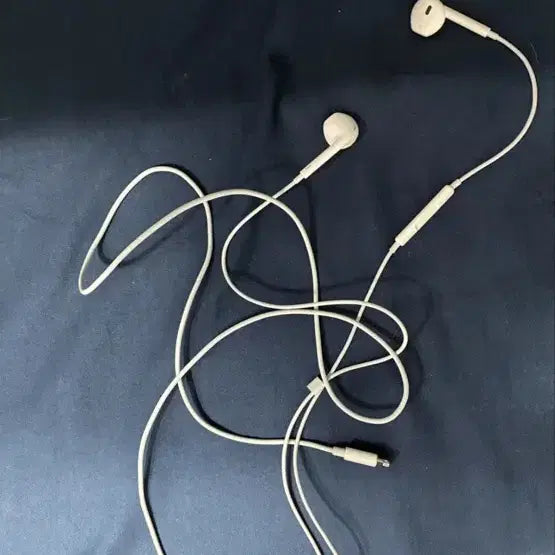 [BUNJANG] Apple Genuine 8-pin Earphones (Set of 2) / 애플 정품 8핀 이어폰 2개(개별가격)