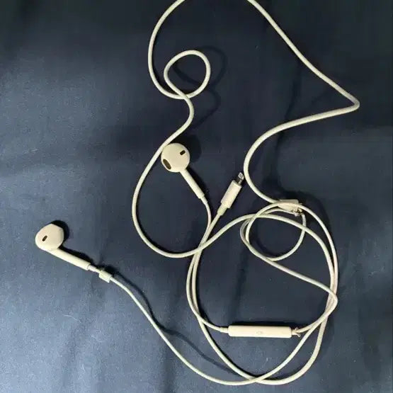 [BUNJANG] Apple Genuine 8-pin Earphones (Set of 2) / 애플 정품 8핀 이어폰 2개(개별가격)