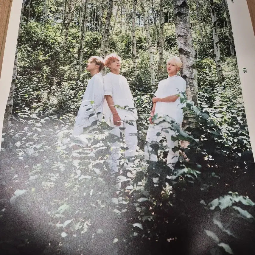 [BUNJANG] BTS 2019 Season&
