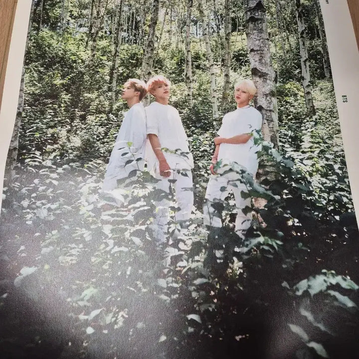 [BUNJANG] BTS 2019 Season&