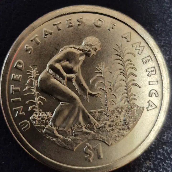 [BUNJANG] 2009 US Denver Mint Sacagawea Dollar Coin - Double Rim Error (Uncirculated) / 2009년미국D 사카가위아 1달러 기념주화. 더블림 에러(완전미사용)