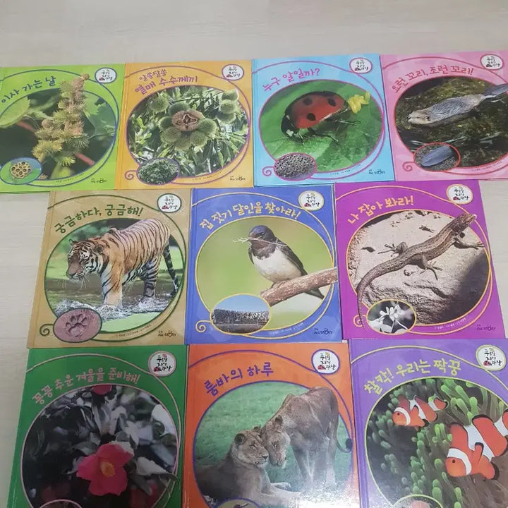 [BUNJANG] Kyowon Blue Moon Nature Observation &amp; Story Theater Fairy Tale Complete Set (22 Books) / 교원 전집22권 푸른달자연관찰 이야기극장동화