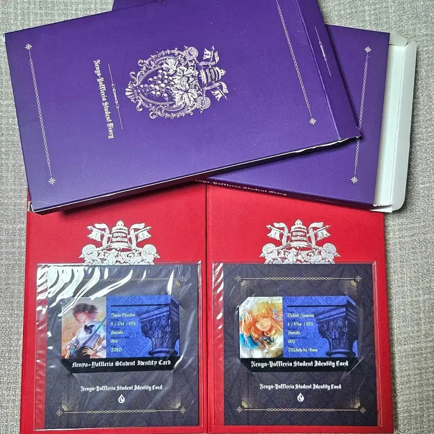 [BUNJANG] Nenyapl Diary Set with Student ID Cards (Techeel, Espin) / 네냐플 다이어리