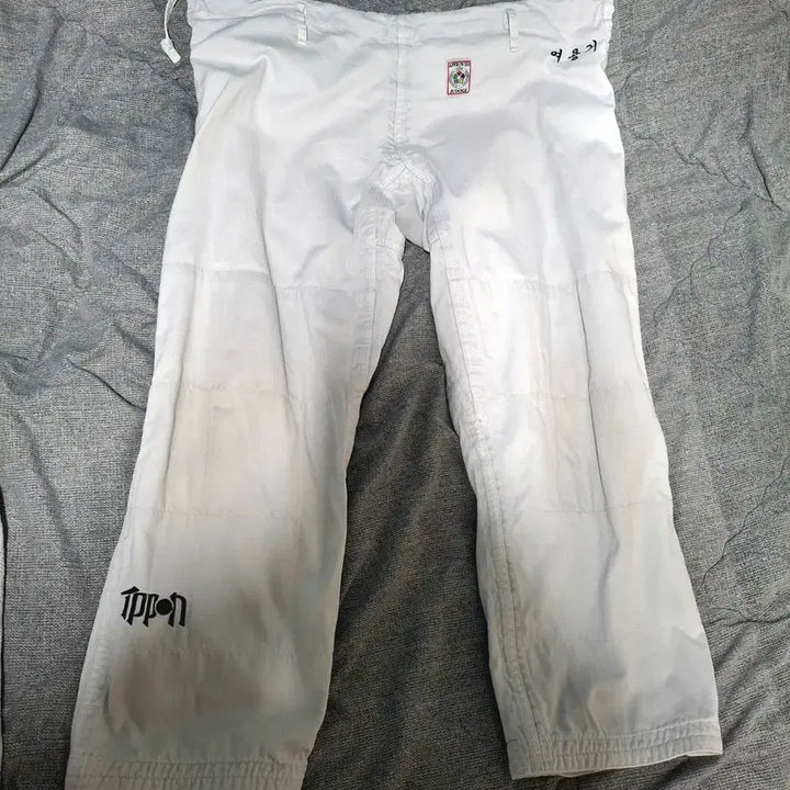 [BUNJANG] Ippon Gear Athlete Judo Uniform 175cm / 잇폰기어 선수용 유도복 175cm 팝니다