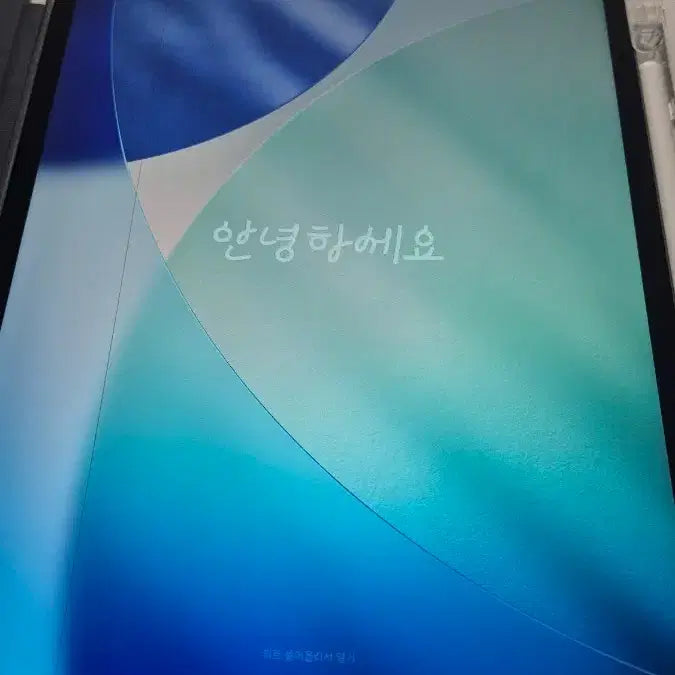 [BUNJANG] Apple iPad Pro 12.9-inch 4th Gen 256GB + Apple Pencil + Case / 애플 아이패드 프로 12.9인치 256GB 4세대 + 애플펜슬, 케이스
