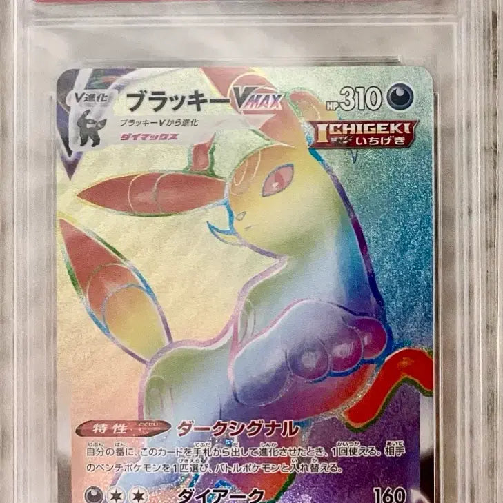 [BUNJANG] Pokémon TCG Evolving Skies Blastoise VMAX PSA 10 Graded Card / 2021 포켓몬 카드 이븐히어로즈 일판 블래키 psa10