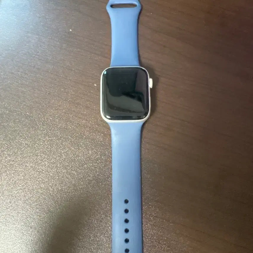 [BUNJANG] Apple Watch SE (2nd Gen) GPS Model with Blue Strap / 애플워치 SE(GPS)(2세대)