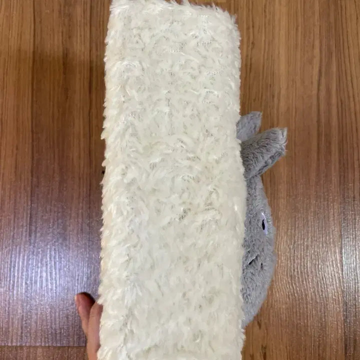 [BUNJANG] Studio Ghibli My Neighbor Totoro Photo Album / 지브리 토토로 포토앨범