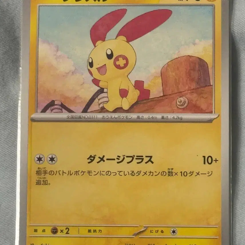 [BUNJANG] Pokemon Card Japanese MyNong SV3a 014/062 / 포켓몬카드 일판 마이농 sv3a 014/062