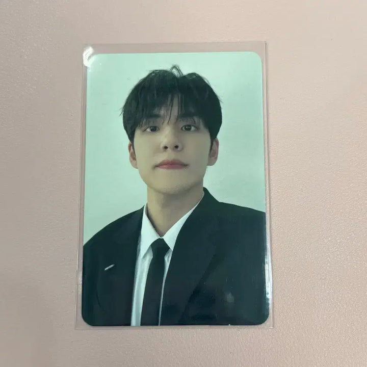 [BUNJANG] Day6 Wonpil Wellshow Concert Cherry Blossom Concert Entrance Photocard / 데이식스 원필 웰쇼콘 벚꽃콘 콘서트 입장포카 포카 양도