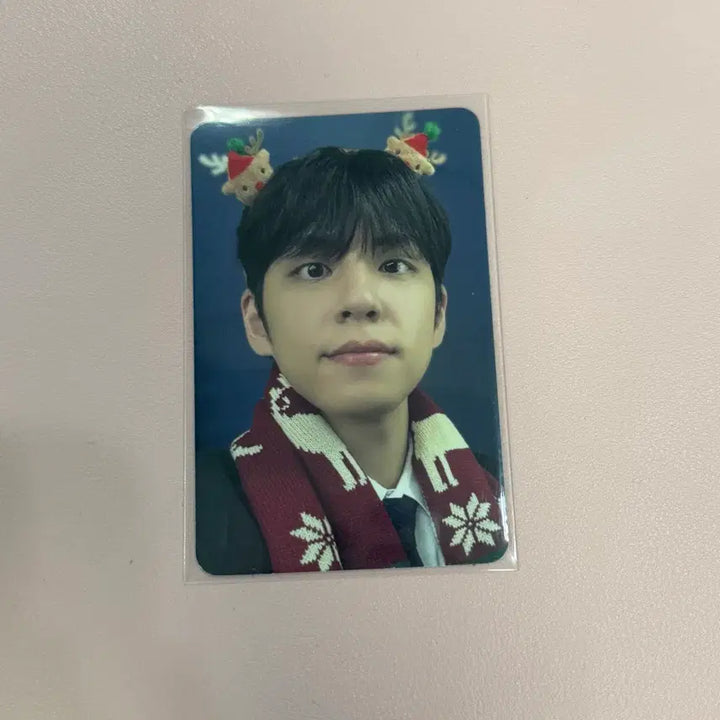 [BUNJANG] DAY6 Wonpil 2024 Concert Entrance Photocard / 데이식스 원필 24 클콘 콘서트 입장포카 포카 양도