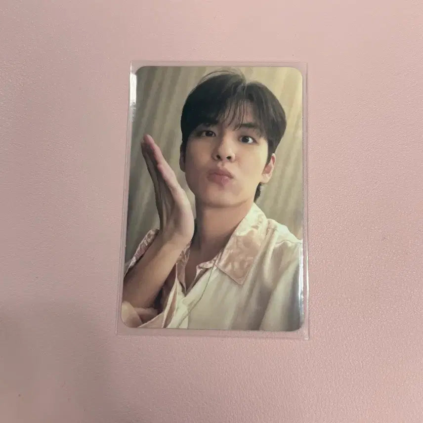 [BUNJANG] DAY6 Wonpil Forever Young Concert Photocard / 데이식스 원필 포에버영 콘서트 입장포카 포카 양도