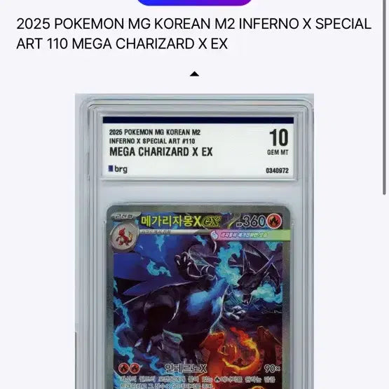 [SOLD OUT] 포켓몬카드 메가리자몽x Brg 10 한글판