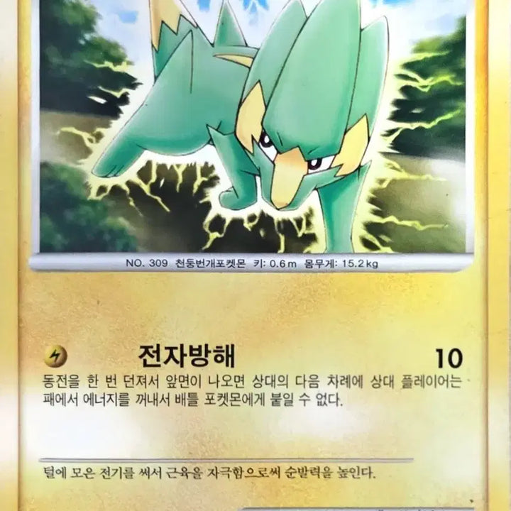 [BUNJANG] Nintendo 2010 Thunderbolt Pokémon Card / 썬더라이 포켓몬 카드