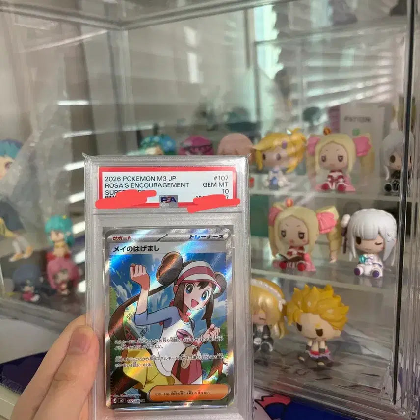 [BUNJANG] Pokémon Card Mallow&