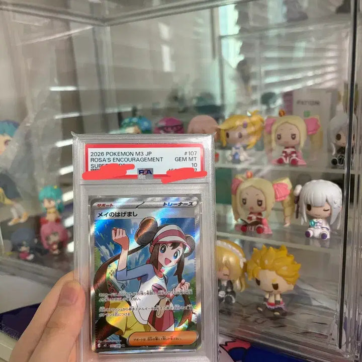 [BUNJANG] Pokémon Card Mallow&