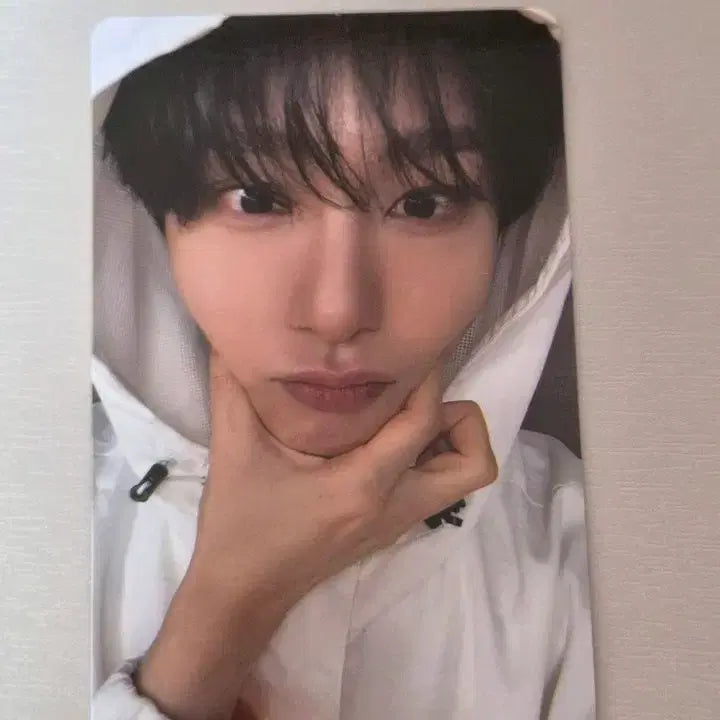 [BUNJANG] ONEUS Mixpop Concert Taiwan POB Photocard / 대만 믹스팝 콘서트 원어스 특전 포카 양도