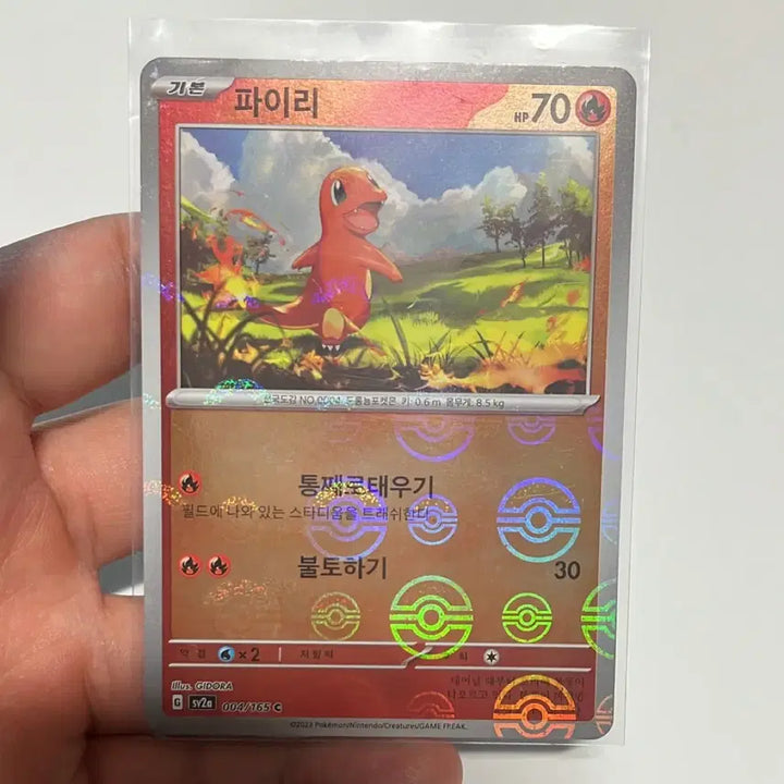 [BUNJANG] Pokemon 151 Charmander, Charmeleon Bundle Set / 151 파이리,리자드 몬스터볼,마스터볼 일괄 판매합니다