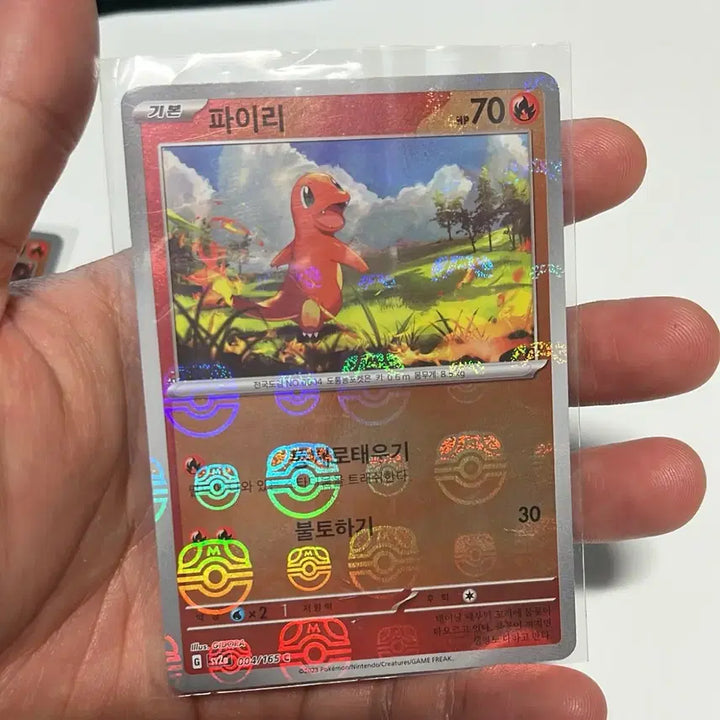 [BUNJANG] Pokemon 151 Charmander, Charmeleon Bundle Set / 151 파이리,리자드 몬스터볼,마스터볼 일괄 판매합니다