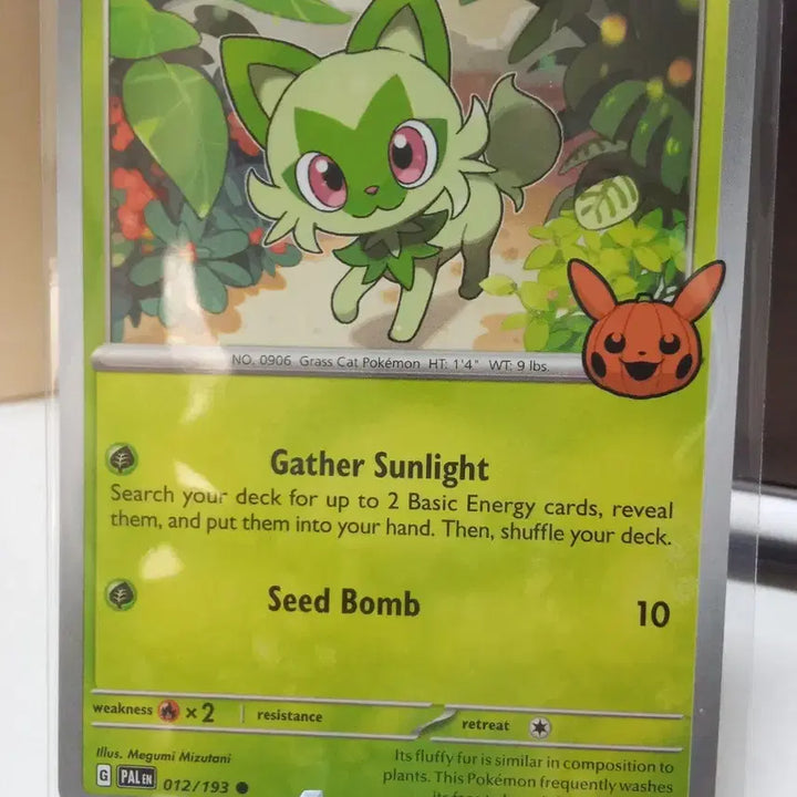 [BUNJANG] Naoh Young "Halloween 2023" Trading Card 012/193 PALEN / 나오하 영문 할로윈2023 012/193 PALEN