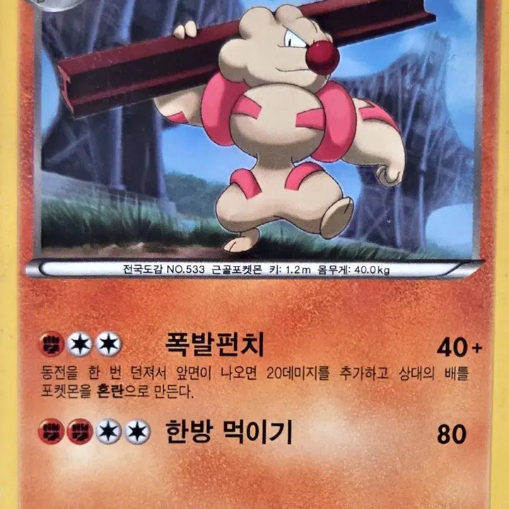 [BUNJANG] Pokemon Tirtouga Card / 포켓몬 토쇠골 카드