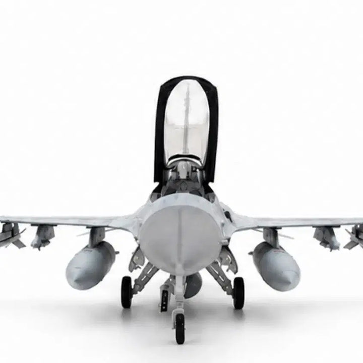 [BUNJANG] Fighter Jet Model - Assembled / 전투기 프라모델 완제품
