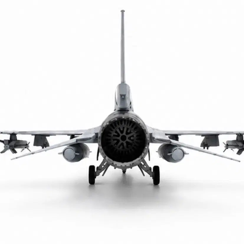 [BUNJANG] Fighter Jet Model - Assembled / 전투기 프라모델 완제품