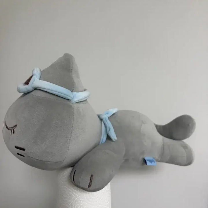 [BUNJANG] BOYNEXTDOOR Taekho Doll / 보이넥스트도어 쁘넥도 한탯풍 탯풍이 인형