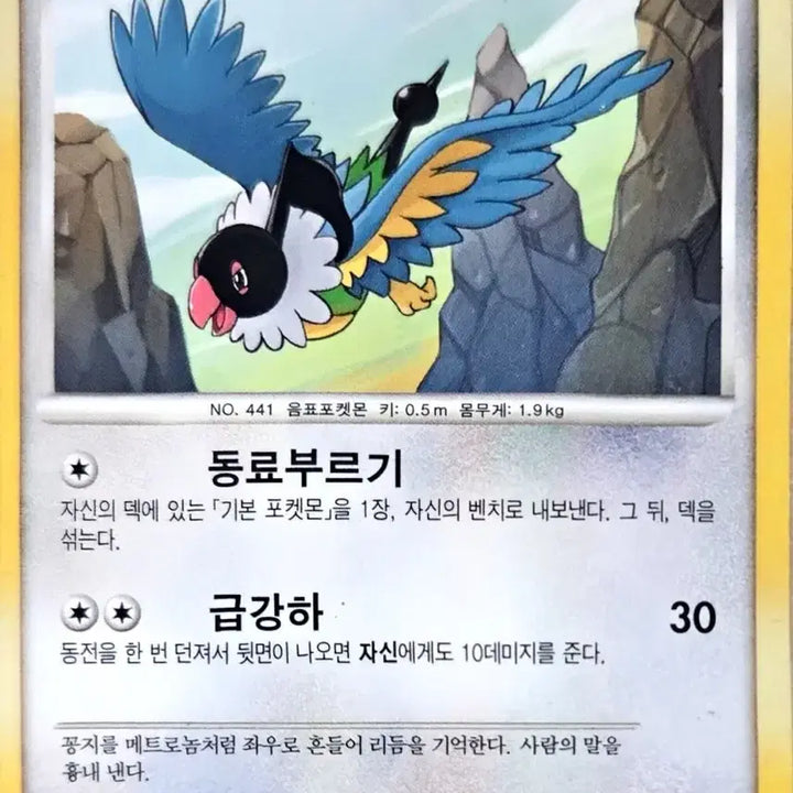 [BUNJANG] Pokemon Card Ferrfer / 포켓몬 카드 페라페