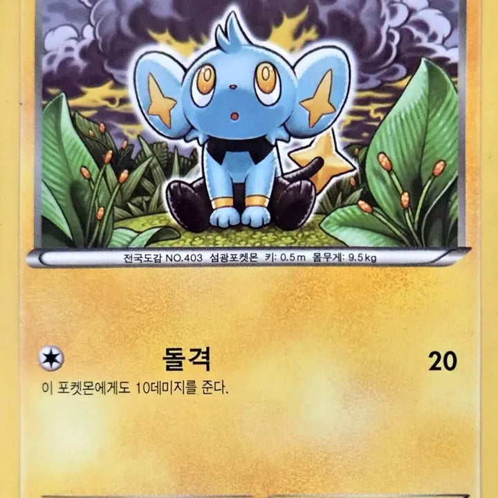[BUNJANG] Pokemon Card Shinx Basic Card / 포켓몬카드 꼬링크