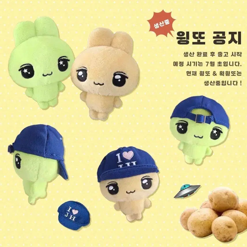 [BUNJANG] Park Ji Hoon Wing-tto Rabbit Doll / 박지훈 윙또 인형 원가 양도