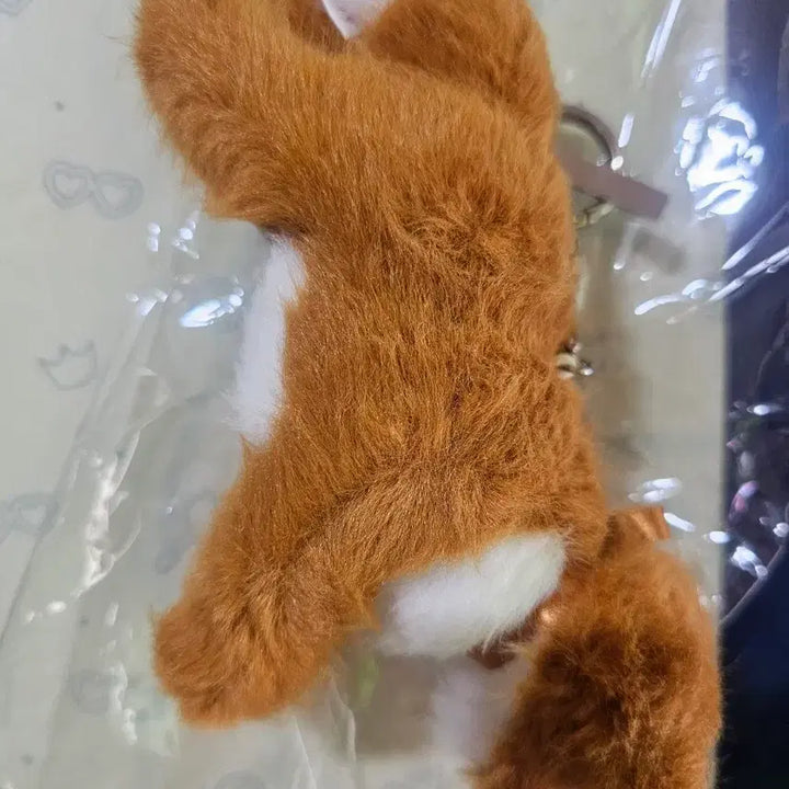 [BUNJANG] TXT Tomorrow x Together Fox Keyring Unsealed Unused / 투바투 투모로우 여우 키링 개봉 미사용